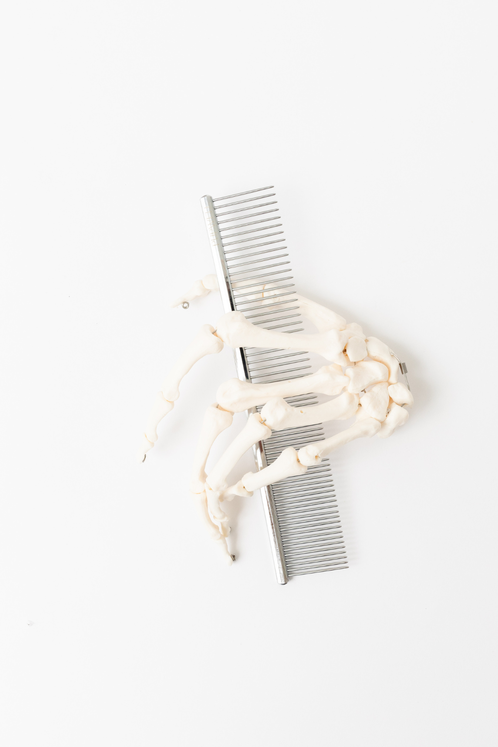 Everyday Comb