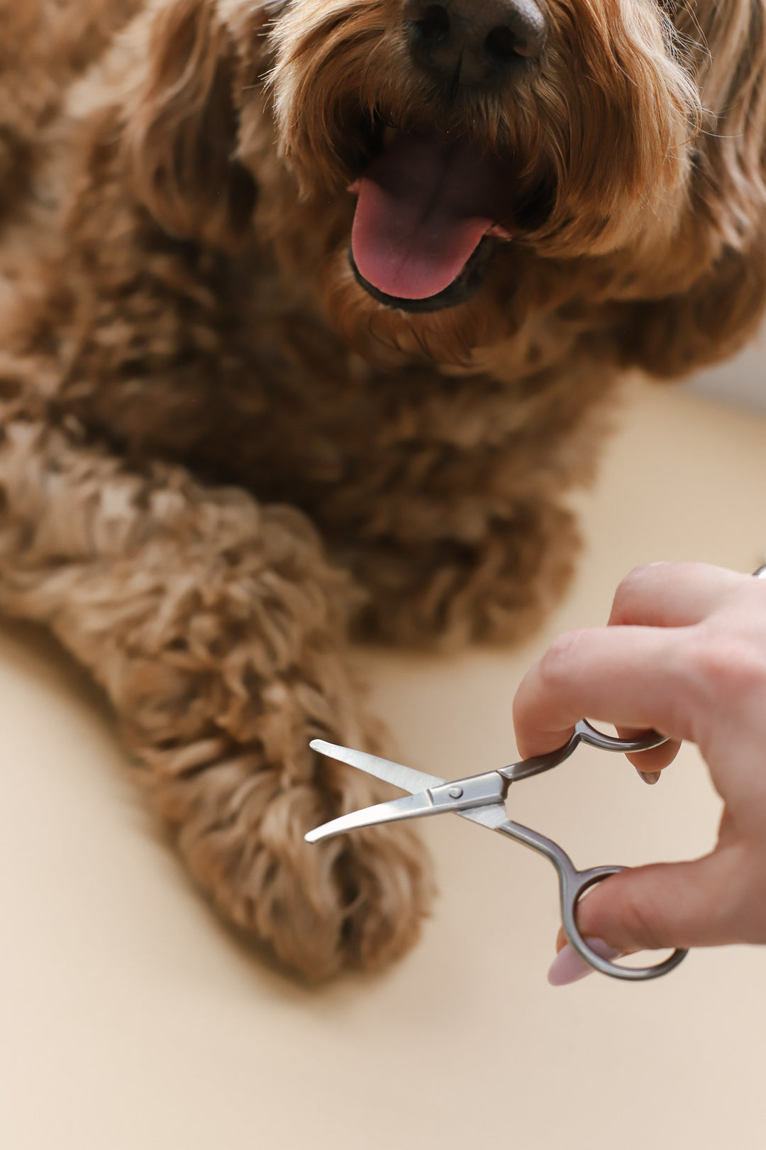 Mini Safety Scissor