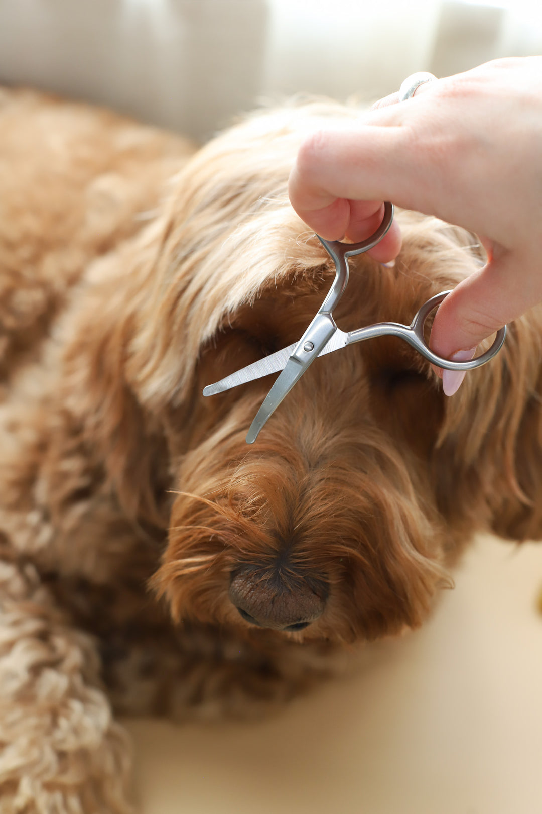 Mini Safety Scissor