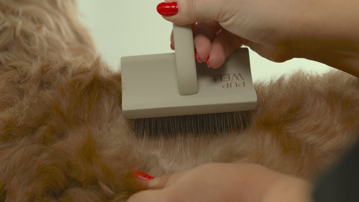 Everyday Slicker Brush