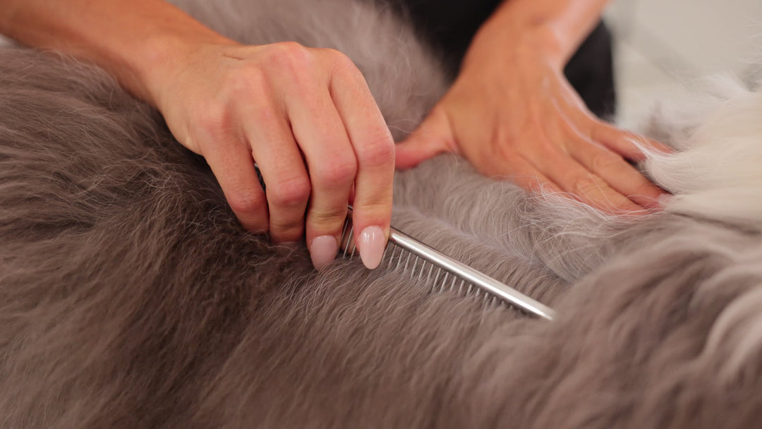 Everyday Comb