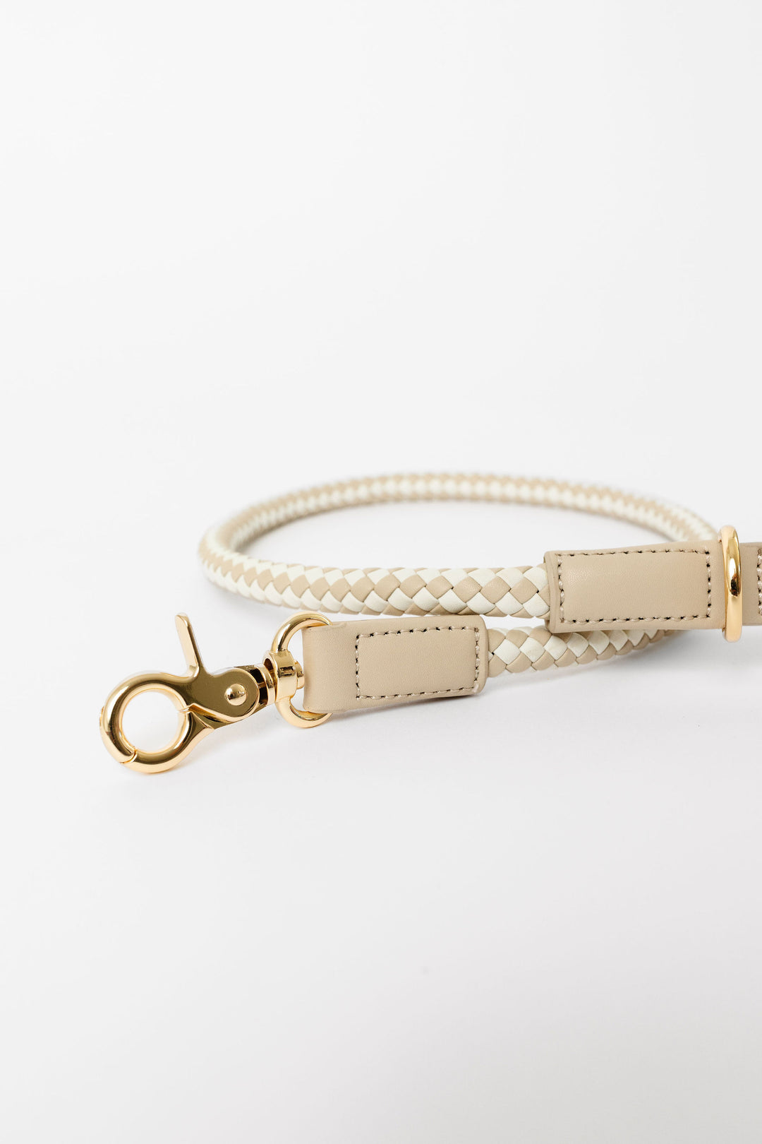 City Walk Kit & FREE COLLAR