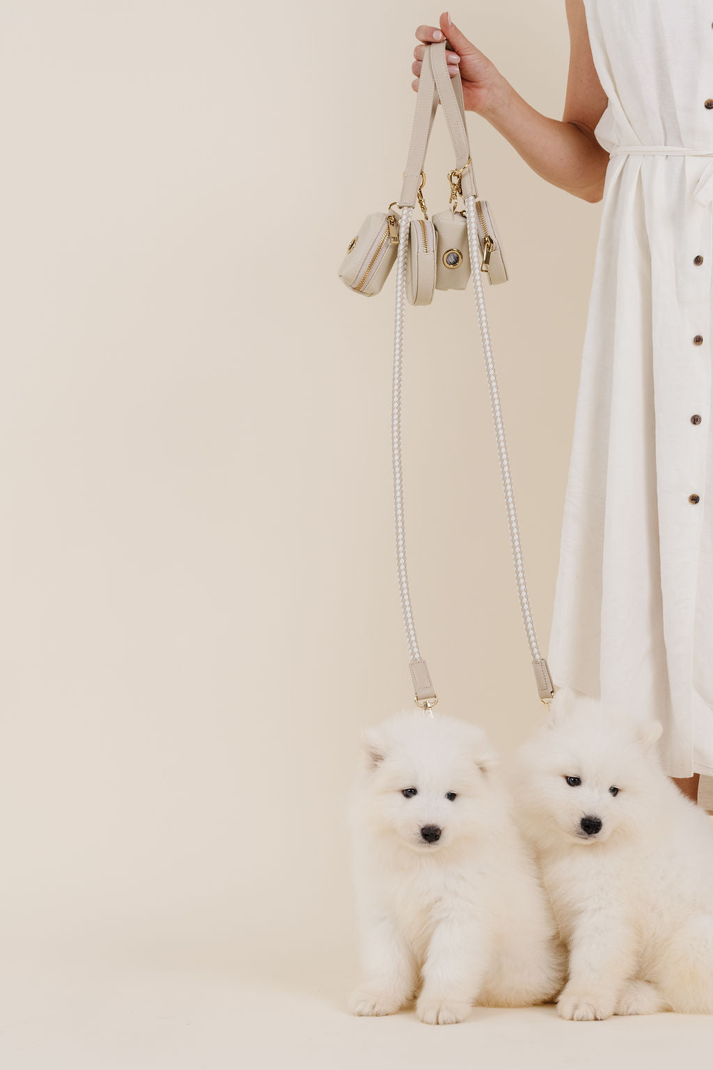 City Walk Kit & FREE COLLAR