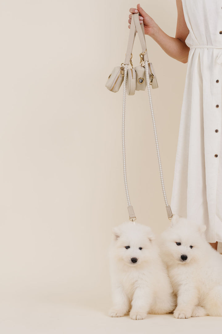 City Walk Kit & FREE COLLAR