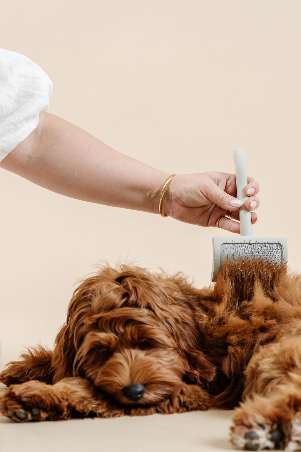 The Ultimate Guide to Choosing the Perfect Dog Brush