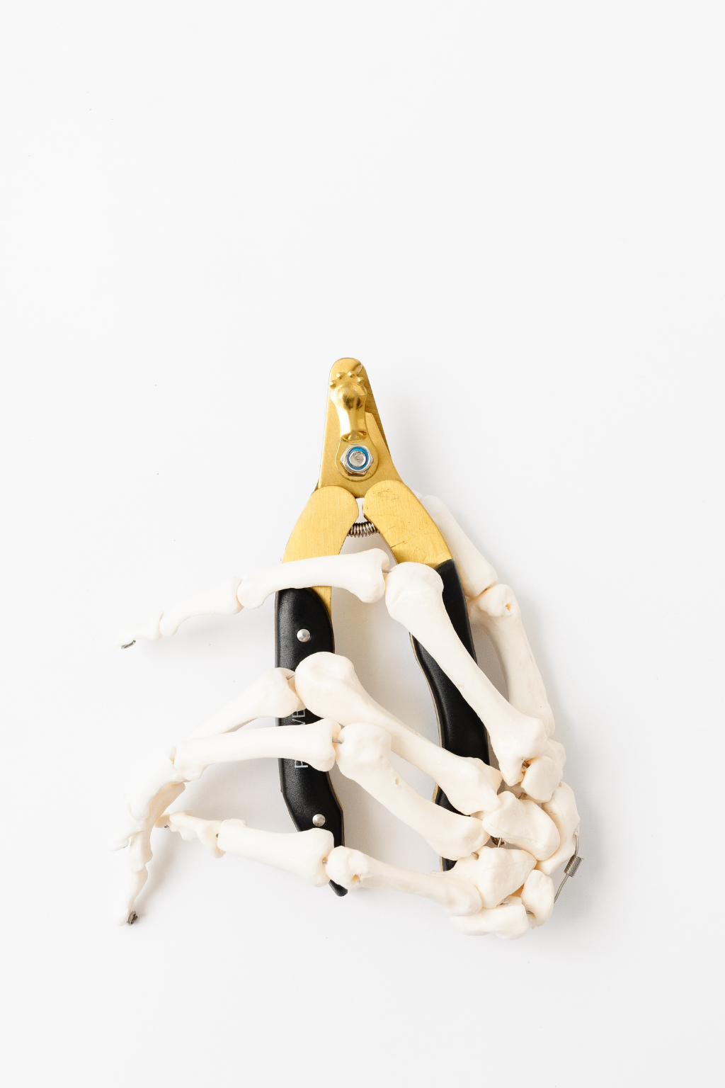 Brass Nail Clipper