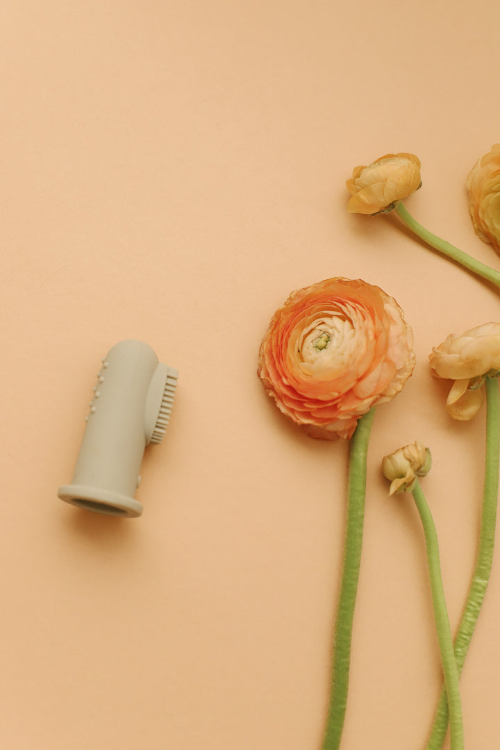 Ultimate Dog Grooming Kit