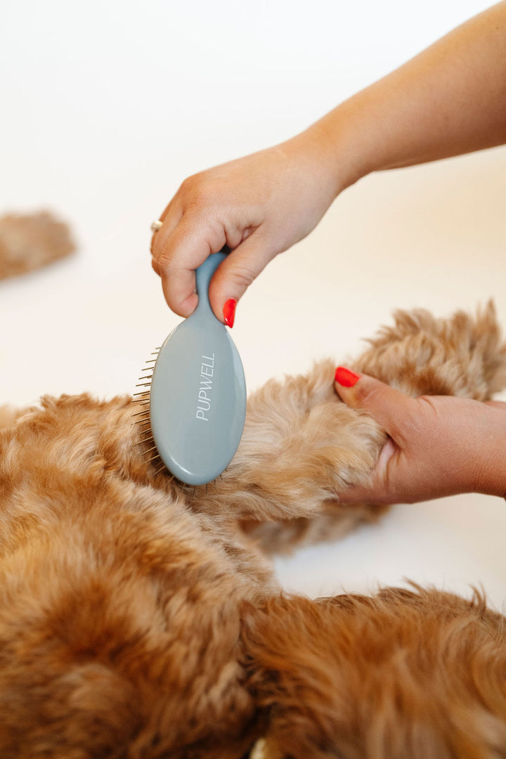 Gentle Detangling Brush