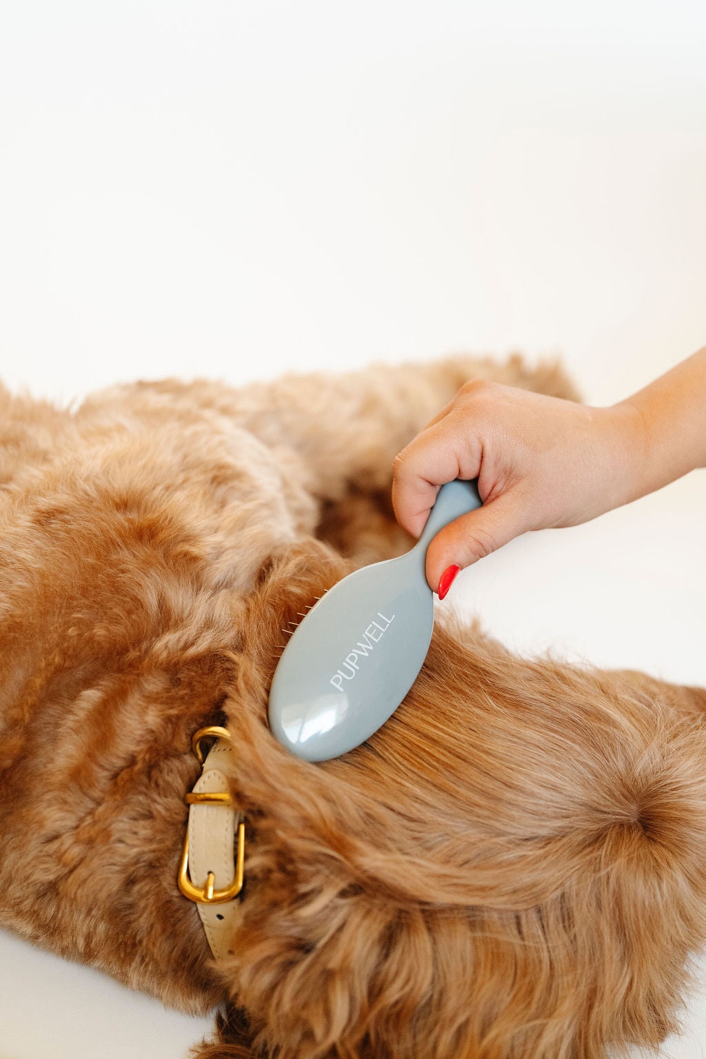 Gentle Detangling Brush