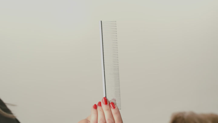 Everyday Comb