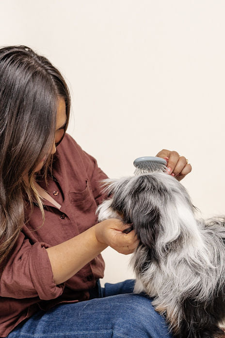 Puppy Grooming Kit