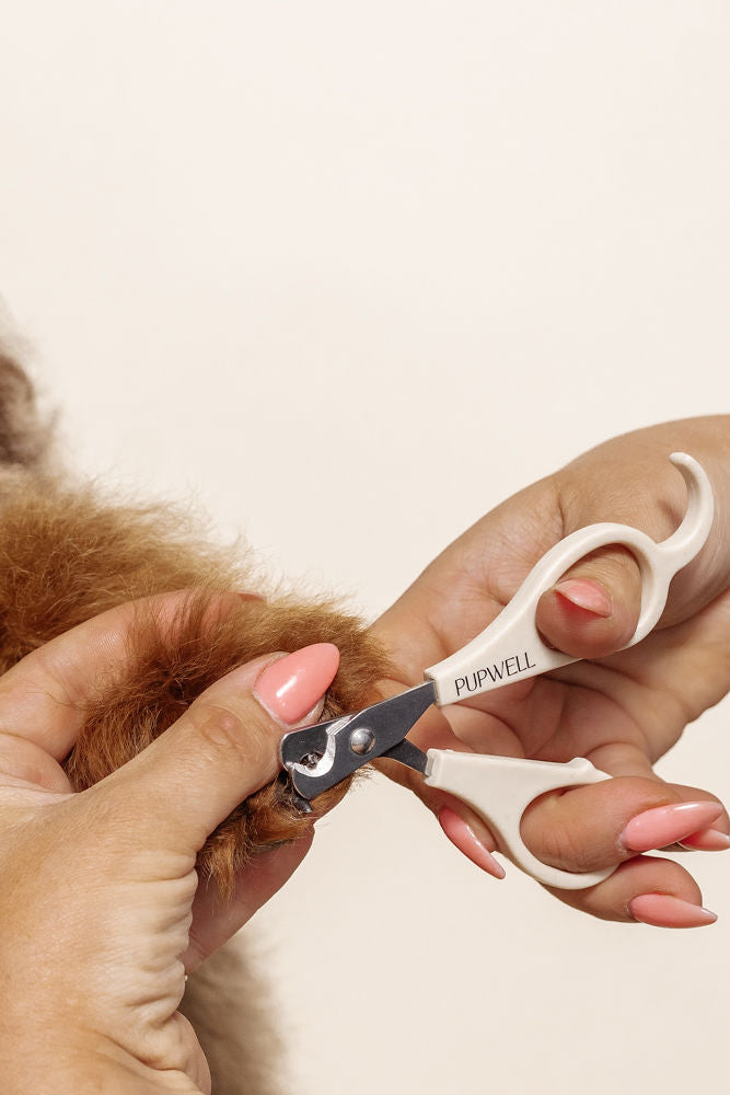 Puppy Grooming Kit