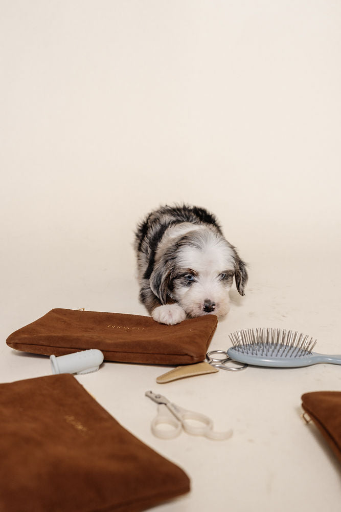 Puppy Grooming Kit