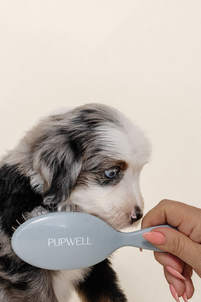 Mini Gentle Detangling Brush