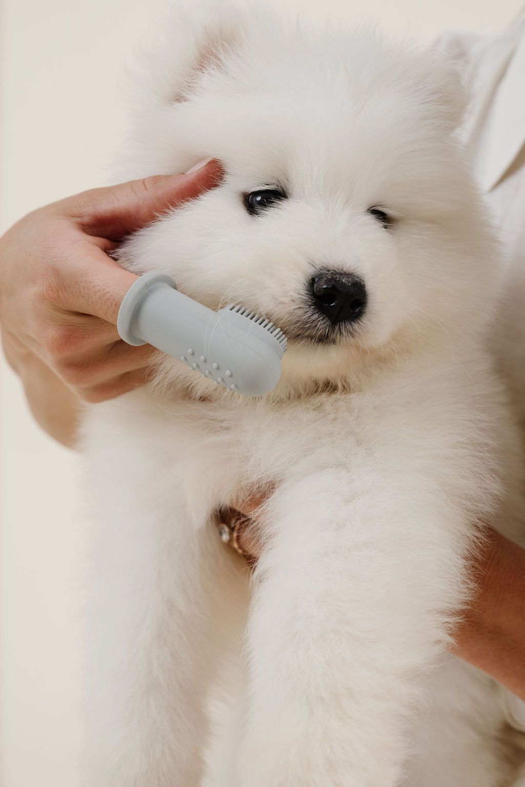 Puppy Breath Toothbrush