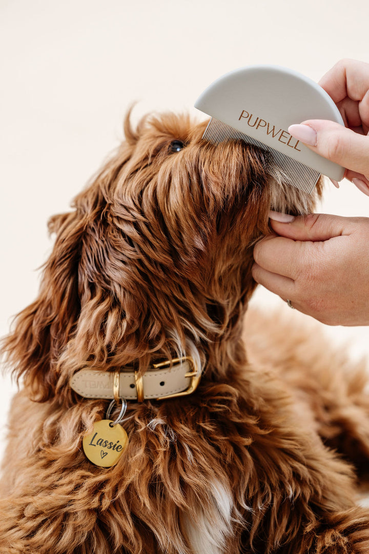 Detailer Comb