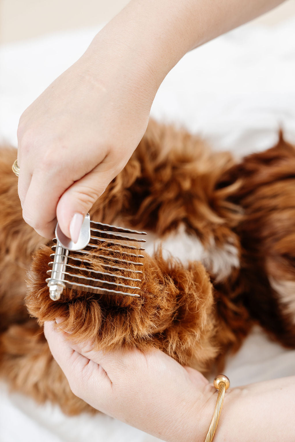 Dog Detangling Bundle