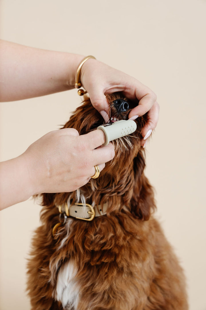 Puppy Breath Toothbrush