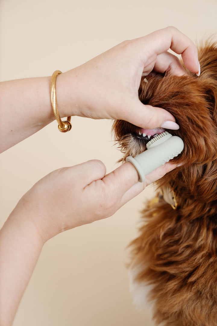 Puppy Breath Toothbrush