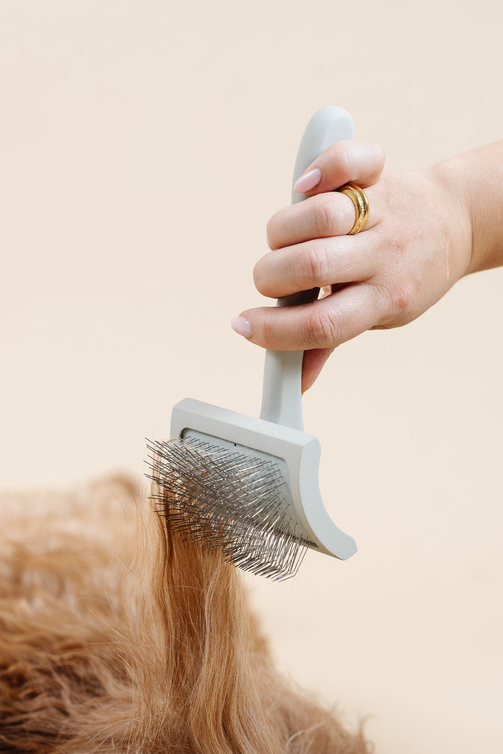 Ultimate Dog Grooming Kit