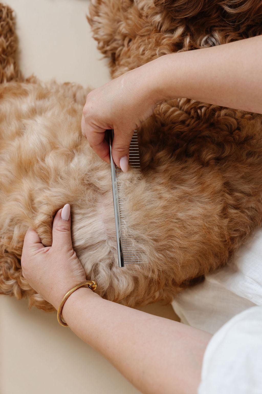 Beginner Grooming Kit