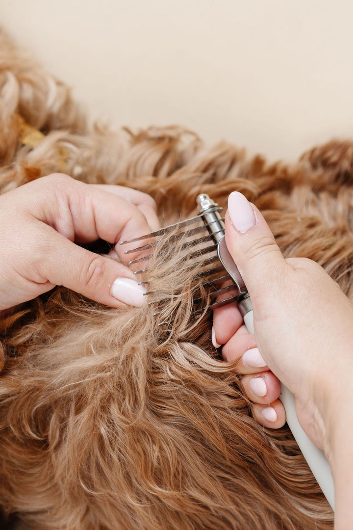 Beginner Grooming Kit